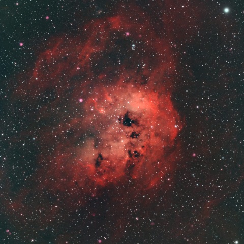 NGC1893