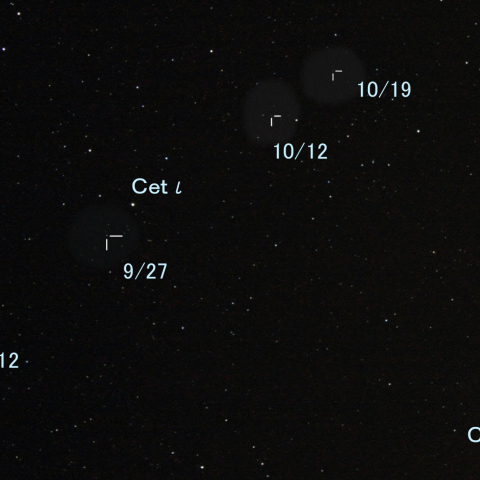 くじら座のパラス