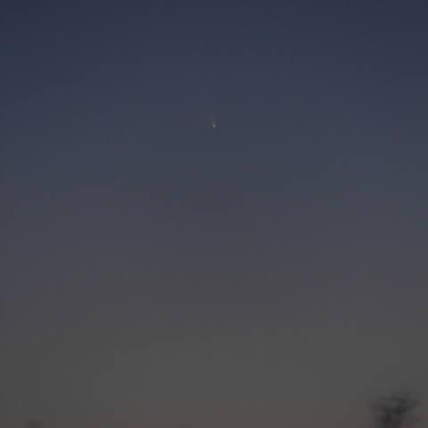 3/14のパンスターズ彗星