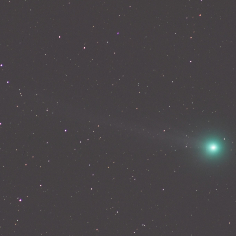 ラブジョイ彗星