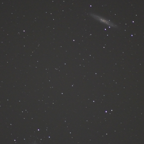 ちょうこくしつ座の銀河