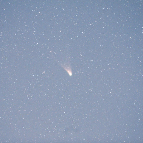 パンスターズ彗星