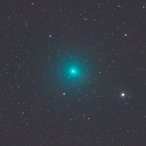 面白い　踏み潰せ