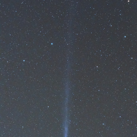 スワン彗星　C/2020 F8