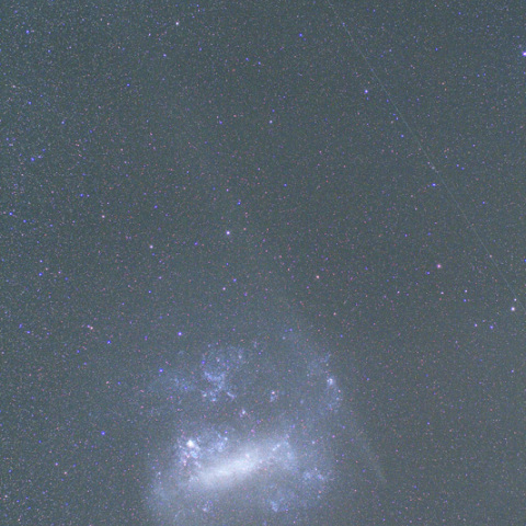 カノープスを突き抜けるラヴジョイ彗星の尾