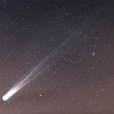 クリスマスに半袖で彗星撮影