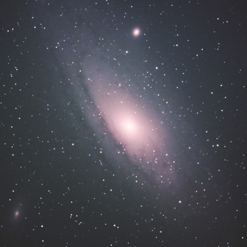 M31