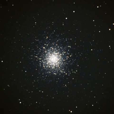 M13