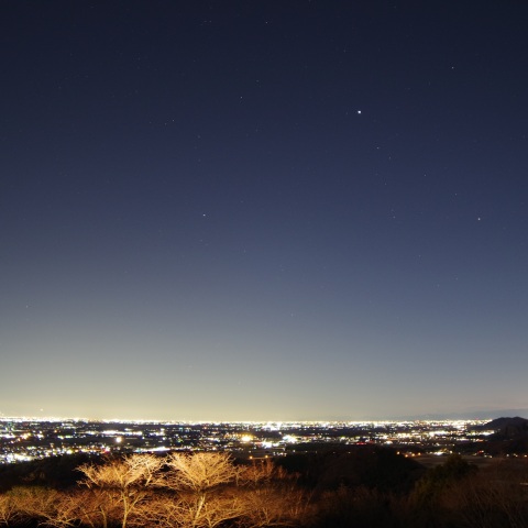 関東平野を望む