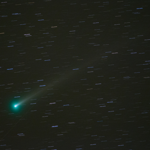 12月9日　レナード彗星