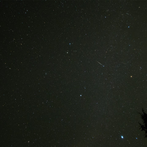 12月14日　ふたご座流星群