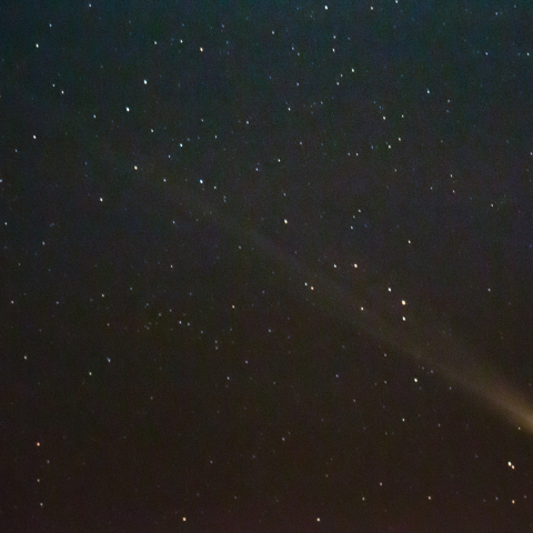 1月2日　レナード彗星