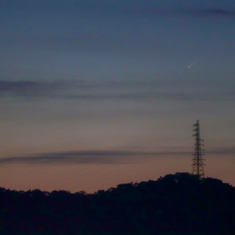 紫金山アトラス彗星（1回目）