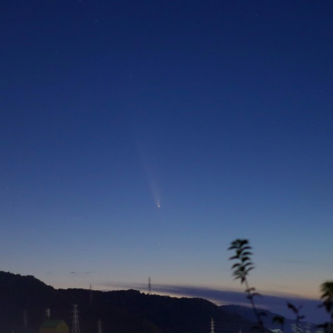 紫金山アトラス彗星（3回目）