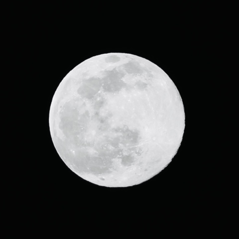 満月（Snow Moon）