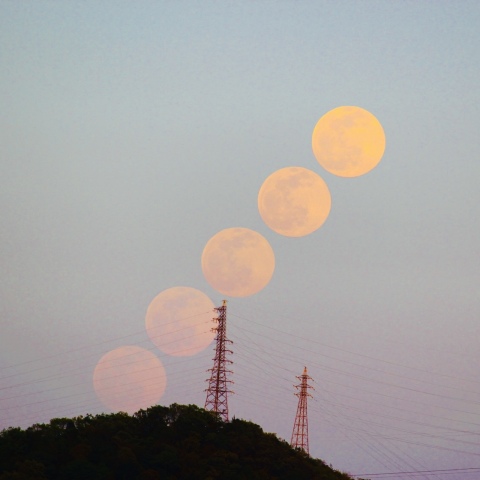 満月（Pink Moon）