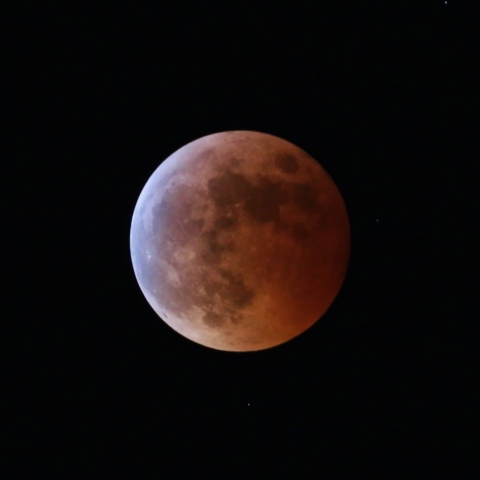 皆既月食（ターコイズフリンジ）2022.11.8