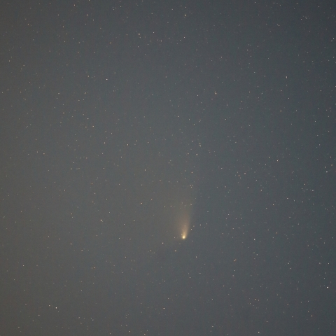 パンスターズ彗星