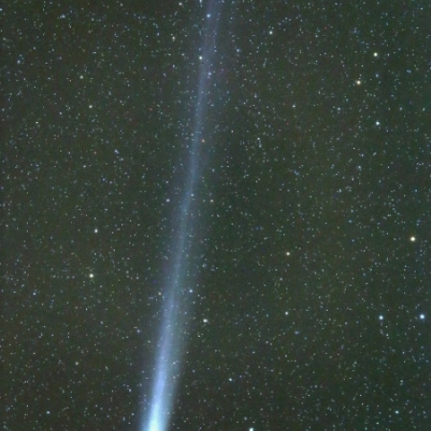 12/7のラブジョイ彗星