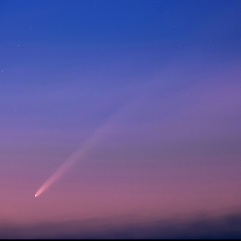 東天の紫金山・アトラス彗星（C/2023 A3）2024.10.2