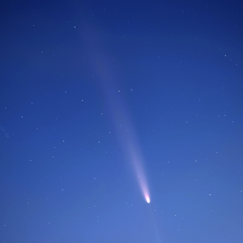 西天の紫金山・アトラス彗星（C/2023 A3） 2024.10.15