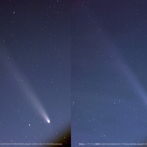 紫金山・アトラス彗星（C/2023 A3） 2024/10/20と10/21の比較