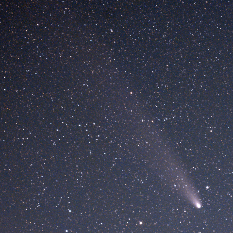 紫金山・アトラス彗星（C/2023 A3） 2024/11/3