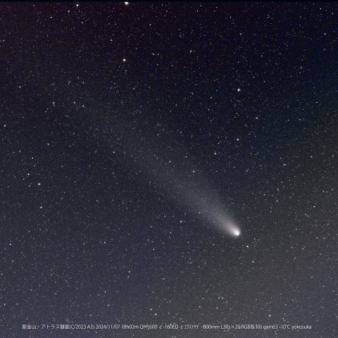 紫金山・アトラス彗星（C/2023 A3） 2024/11/7