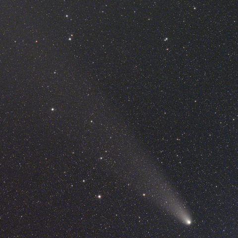 紫金山・アトラス彗星（C/2023 A3） 2024/11/8