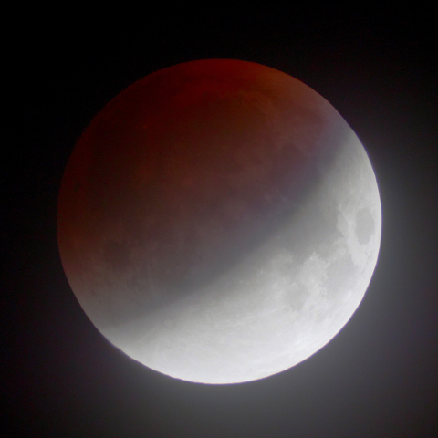 部分食中の様子