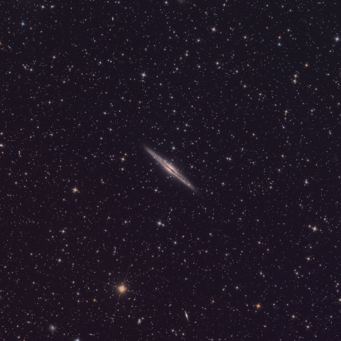 NGC891と周辺の銀河たち