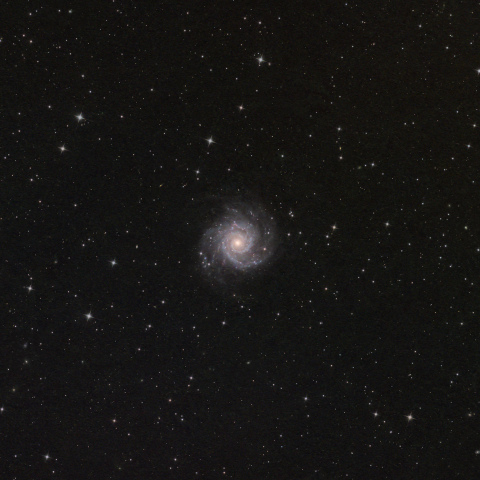 M74