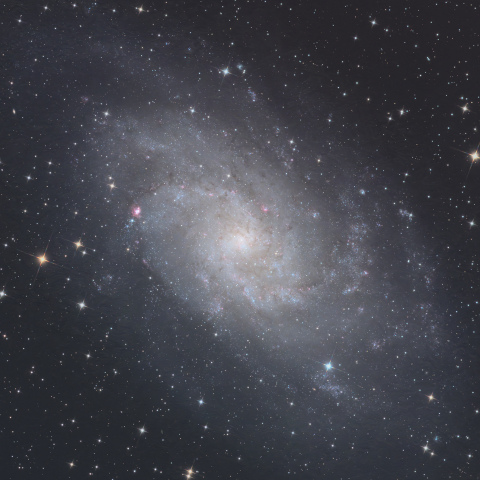 M33