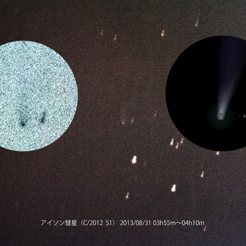 8月31日のアイソン彗星