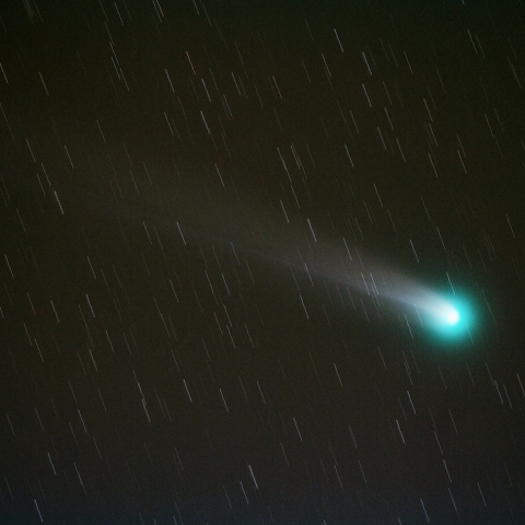 ラブジョイ彗星（2013.12.1）