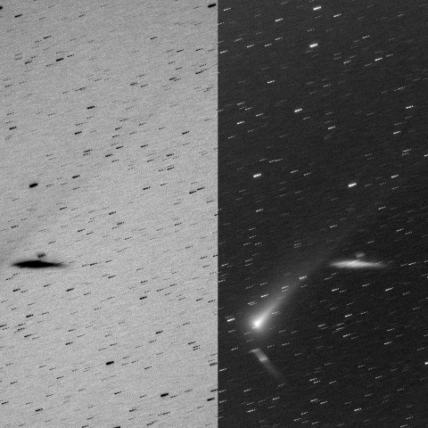 レナード彗星(C/2021 A1)