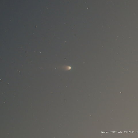 レナード彗星 (C/2021 A1)  12月21日