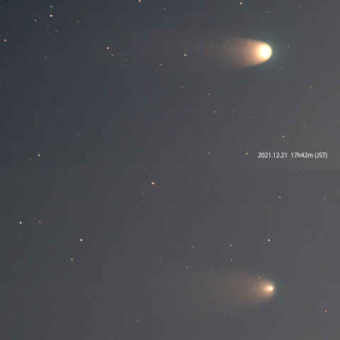 1日で暗くなったレナード彗星