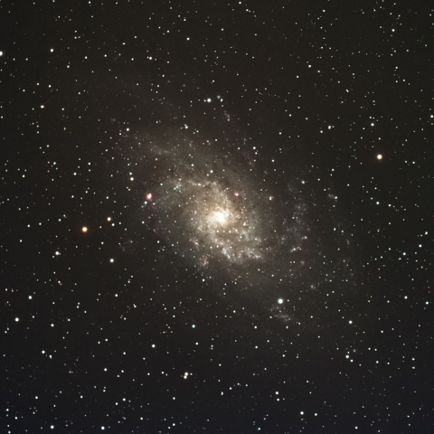 M33