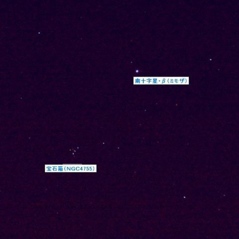 宝石箱（ＮＧＣ4755）とミモザ