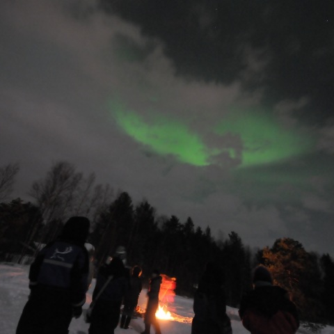 北欧のエメラルド