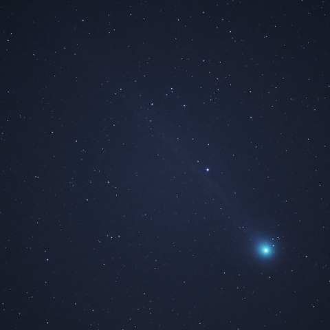 Ｃ２０１４Ｑ２