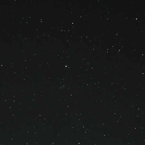 ポラリス＆ラブジョイ