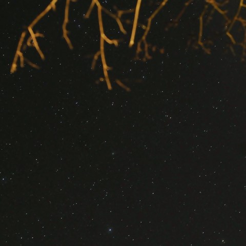 北斗七星へ向かうカタリナ彗星