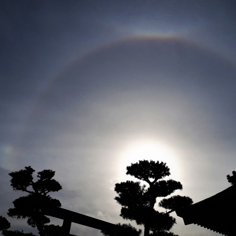 太陽ハロ現象
