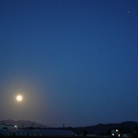 快晴のハロウィン
