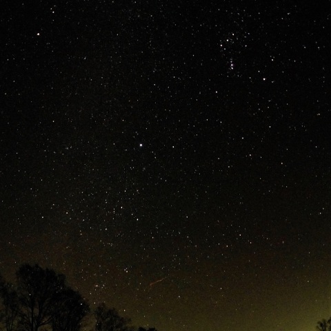 しらびそ高原にて