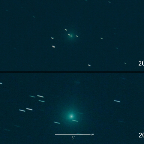 C/2023 H2 (Lemmon) の変化