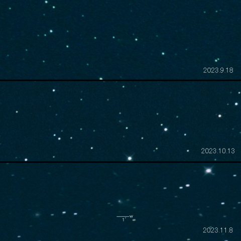 32P（ComasSola）の変化