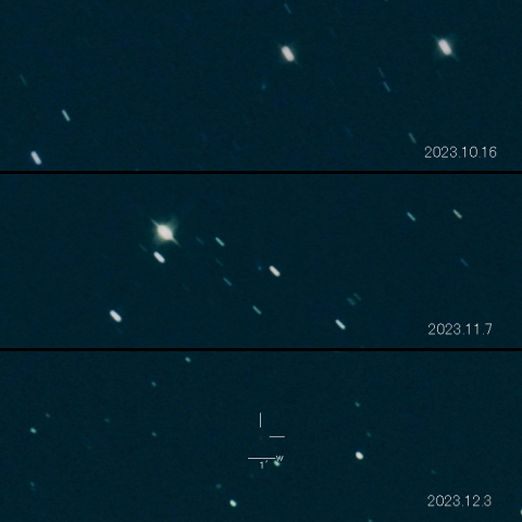 C/2022 S4 (Lemmon) の変化